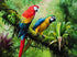 Colorful Parrots in Forest